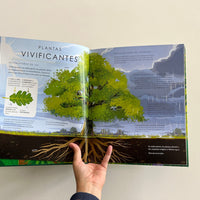 PLANETA VERDE