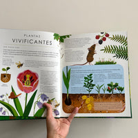 PLANETA VERDE