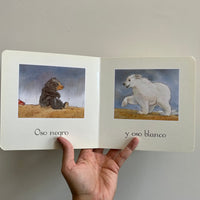 OSO Y COMETA