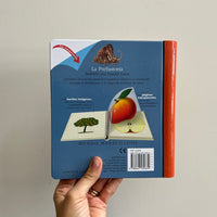 LA PREHISTORIA