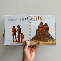 LA PREHISTORIA