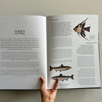 EL ACUARIO DE LA TIERRA