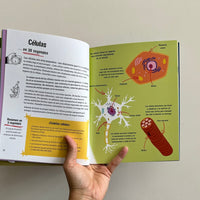 EL CUERPO HUMANO EN 30 SEGUNDOS