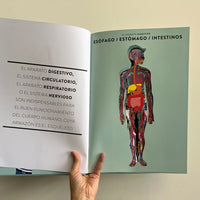 ANATOMÍA