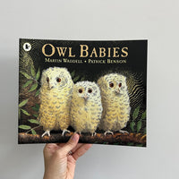 OWL BABIES