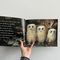 OWL BABIES