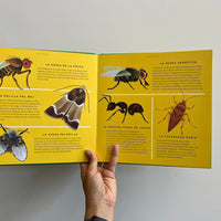 MIS VECINOS LOS INSECTOS