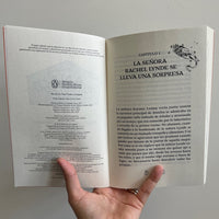 ANA DE LAS TEJAS VERDES LA LLEGADA