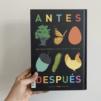 ANTES Y DESPUÉS