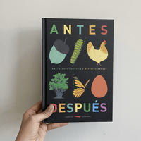 ANTES Y DESPUÉS