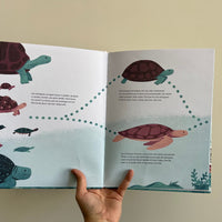 LA TORTUGA DE MAR