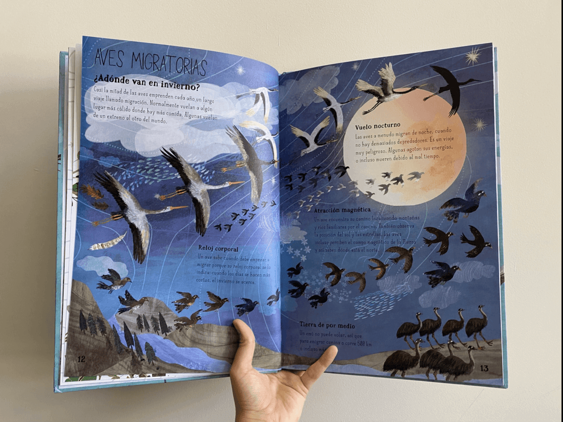 EL GRAN LIBRO DE LAS AVES