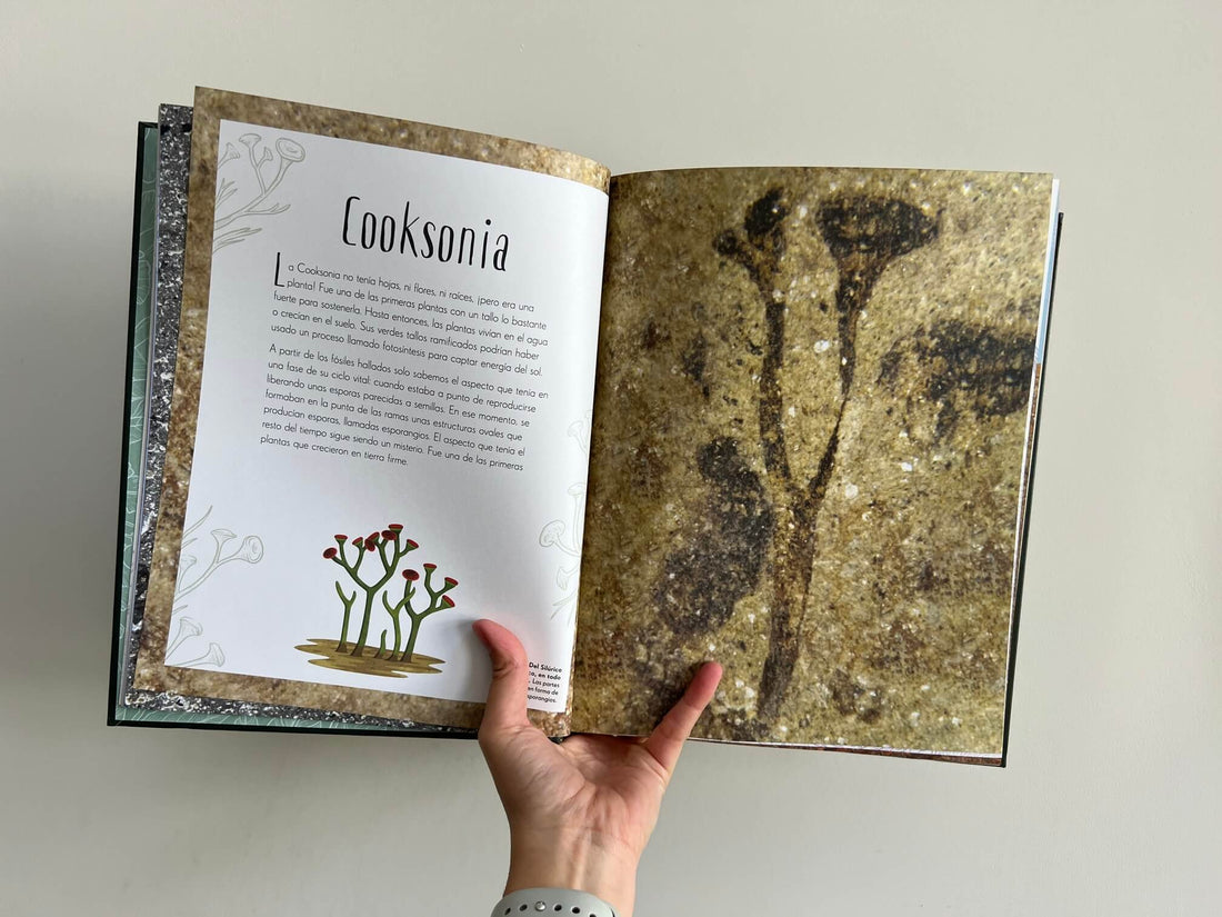 ANTOLOGÍA DE DINOSAURIOS Y VIDA PREHISTÓRICA