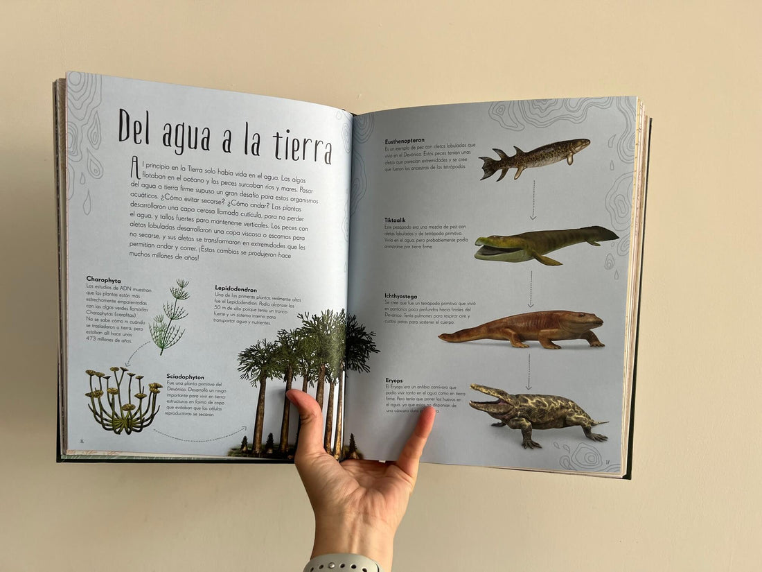 ANTOLOGÍA DE DINOSAURIOS Y VIDA PREHISTÓRICA