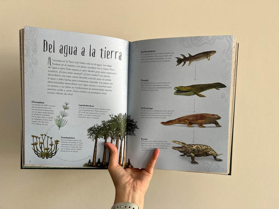 ANTOLOGÍA DE DINOSAURIOS Y VIDA PREHISTÓRICA