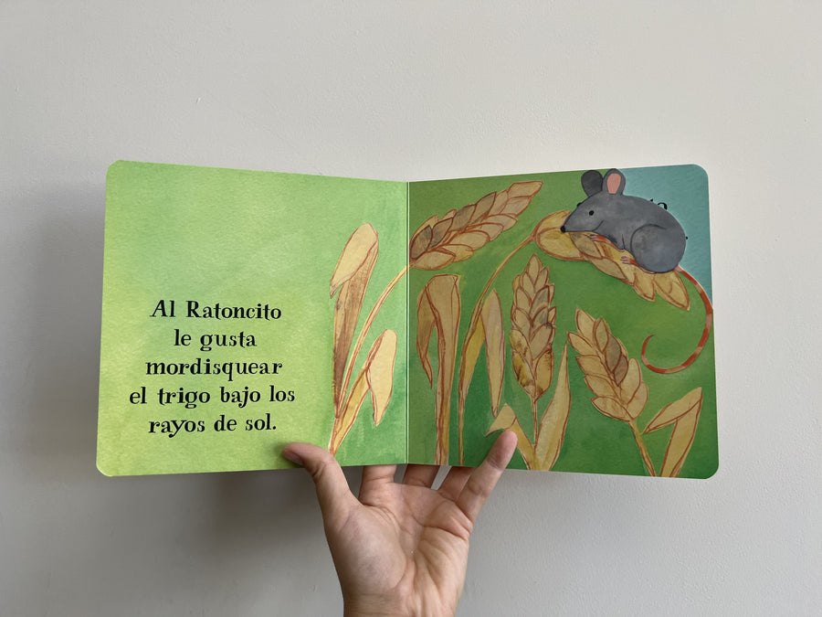 RATONCITO Y EL ARCO IRIS