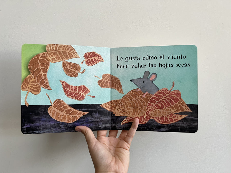 RATONCITO Y EL ARCO IRIS
